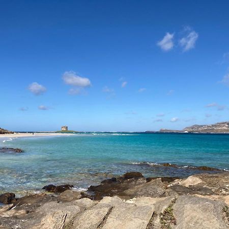Appartamento Mare Blu ポルト・トッレス エクステリア 写真