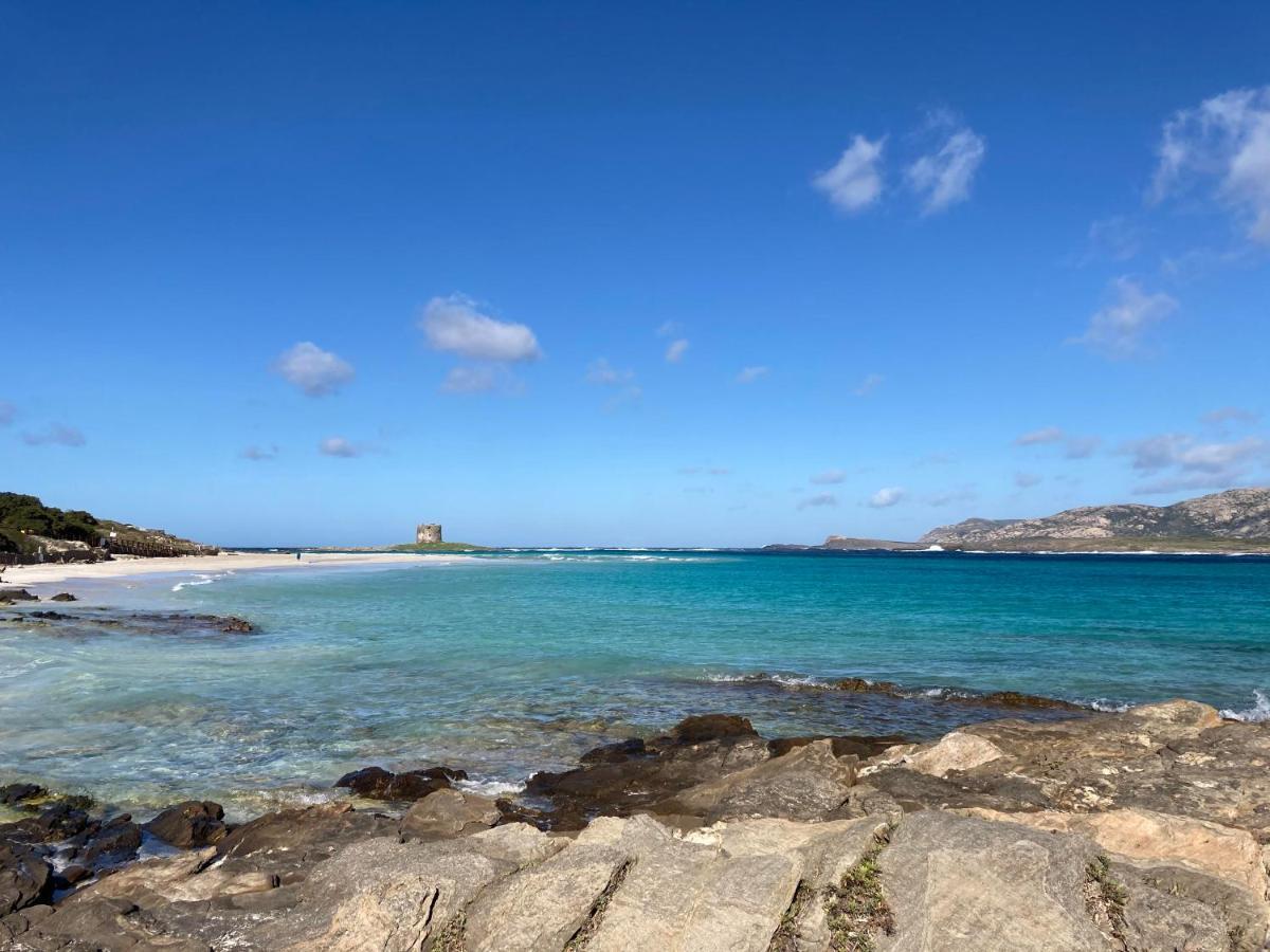 Appartamento Mare Blu ポルト・トッレス エクステリア 写真